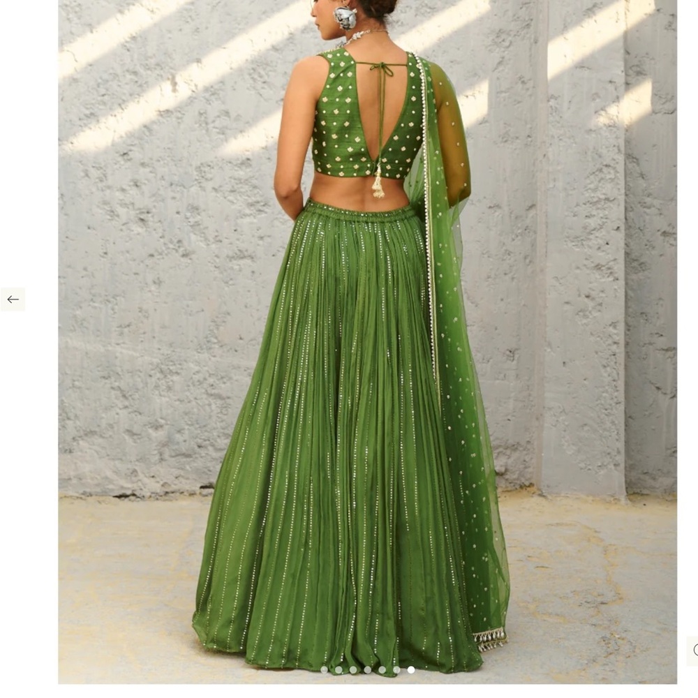 Green Embellished Indian Crop Top with Sheer Dupatta/indian Pakistani lengha fr - Picture 3 of 15